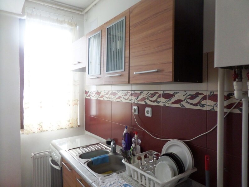 Baneasa, Padurea Baneasa,