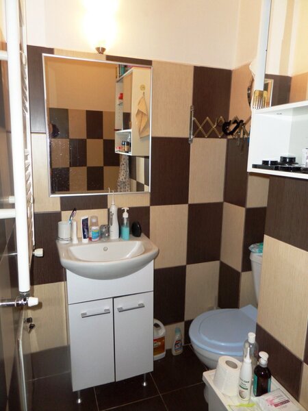 Baneasa, Padurea Baneasa,