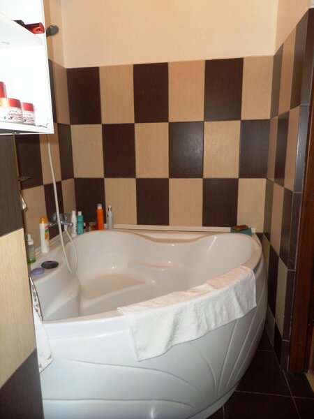 Baneasa, Padurea Baneasa,