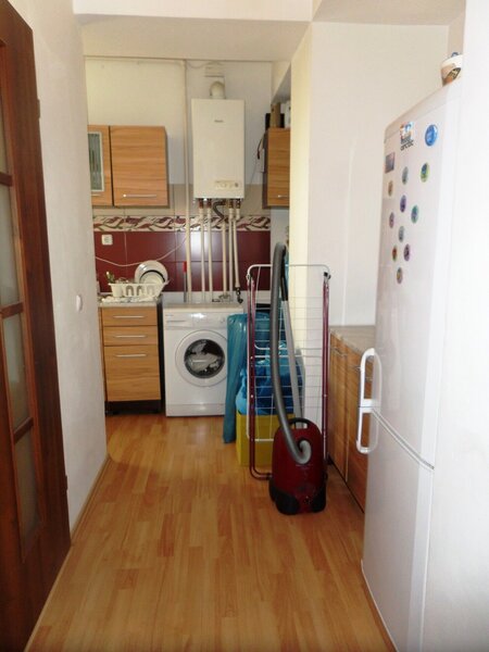 Baneasa, Padurea Baneasa,