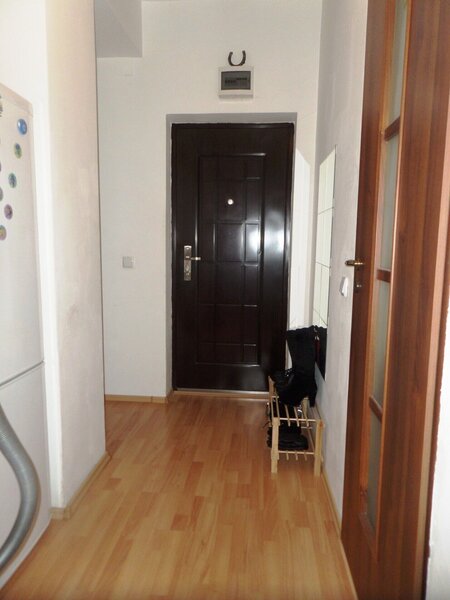 Baneasa, Padurea Baneasa,