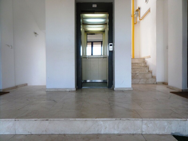 Baneasa, Padurea Baneasa,