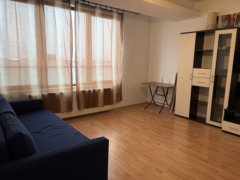 Baneasa, Padurea Baneasa,