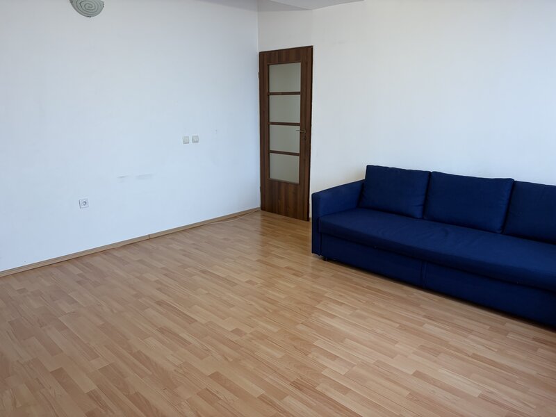 Baneasa, Padurea Baneasa,