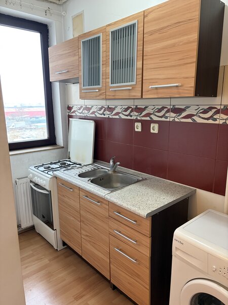 Baneasa, Padurea Baneasa,