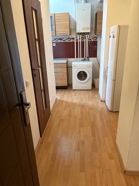 Baneasa, Padurea Baneasa,