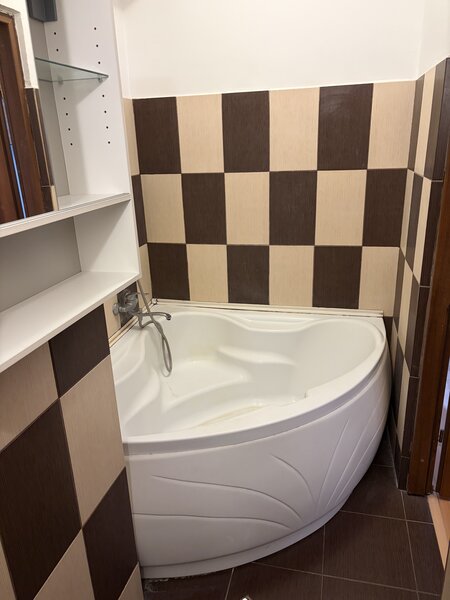 Baneasa, Padurea Baneasa,