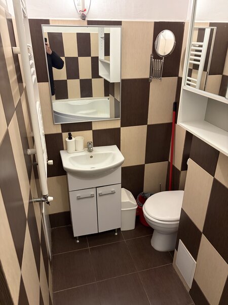 Baneasa, Padurea Baneasa,