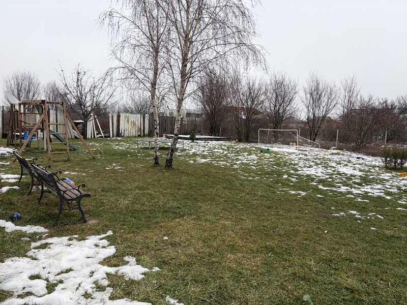 Baneasa, Padurea Baneasa,